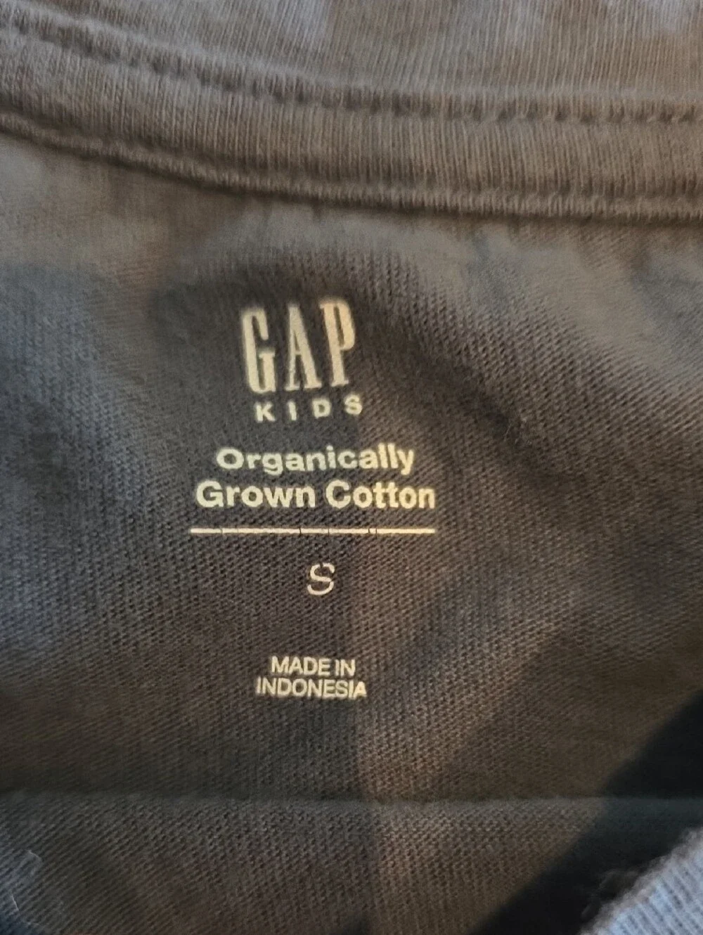 GAP Blue Long Sleeve Tee with Pink Cat Graphic